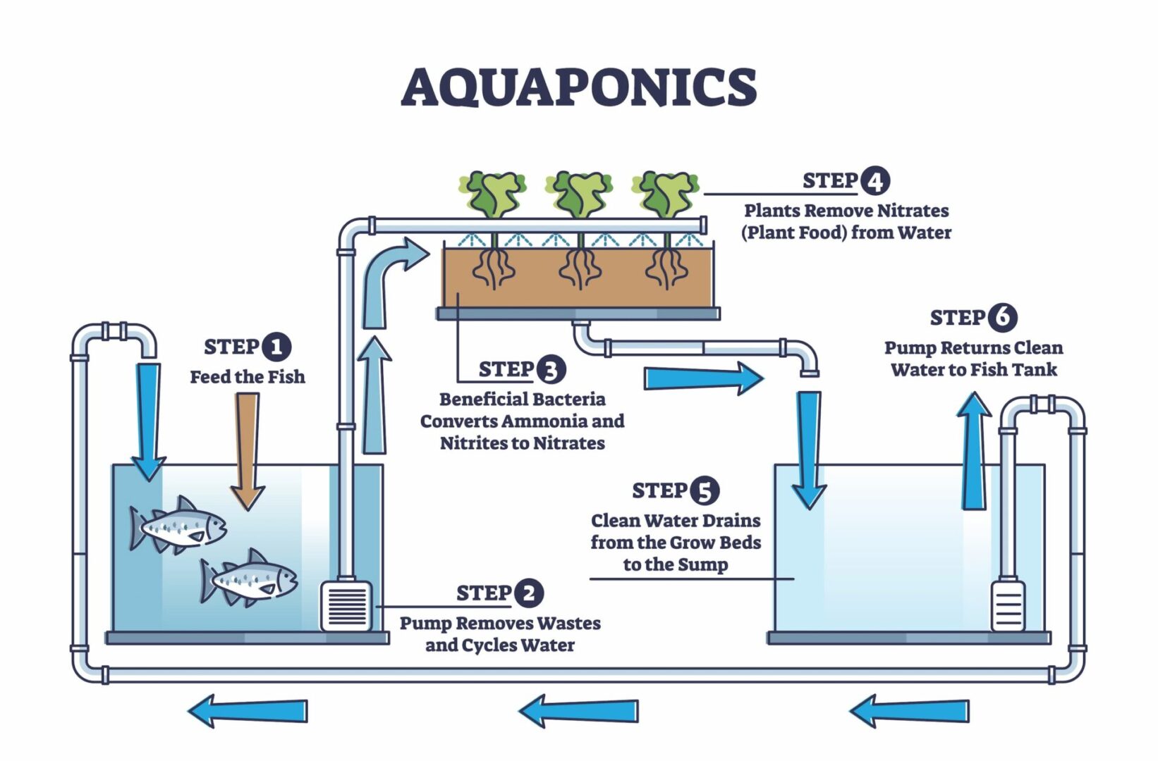 aquaponics